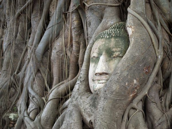 Combi Vietnam y Tailandia