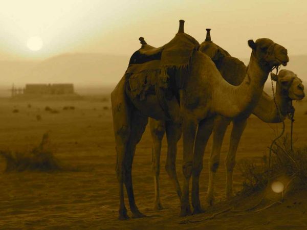 Desierto de Wadi Rum