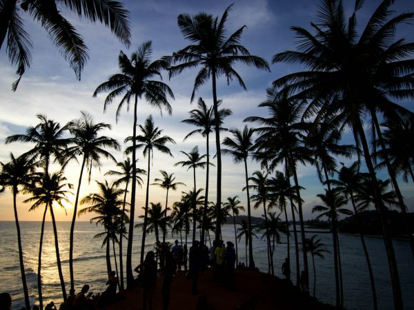 Sri Lanka, Trekking y ballenas