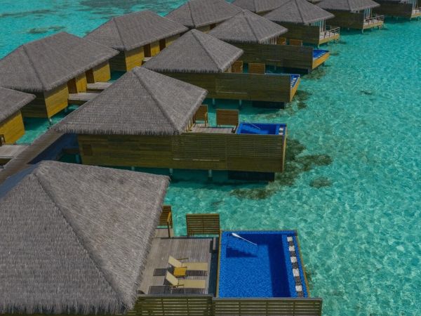 Cocoon Maldives 2025